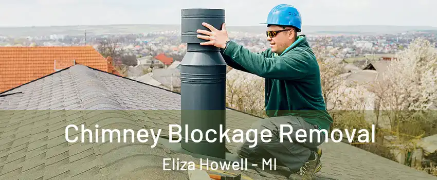 Chimney Blockage Removal Eliza Howell - MI