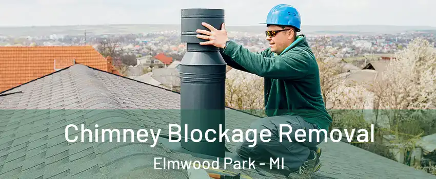 Chimney Blockage Removal Elmwood Park - MI