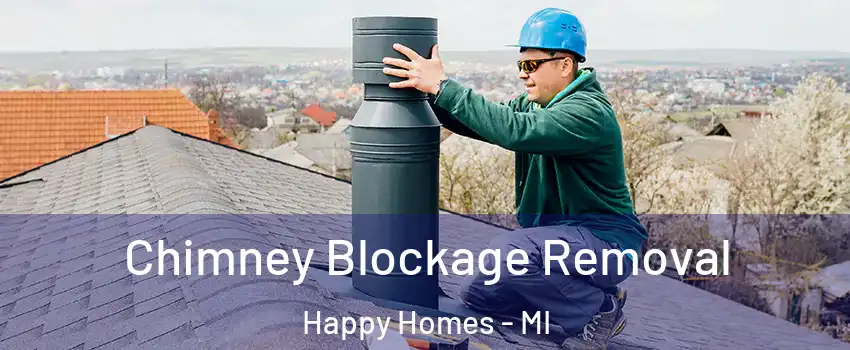 Chimney Blockage Removal Happy Homes - MI