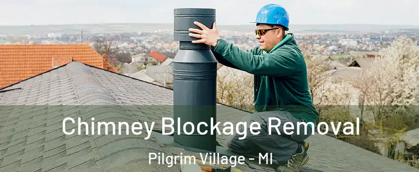 Chimney Blockage Removal Pilgrim Village - MI