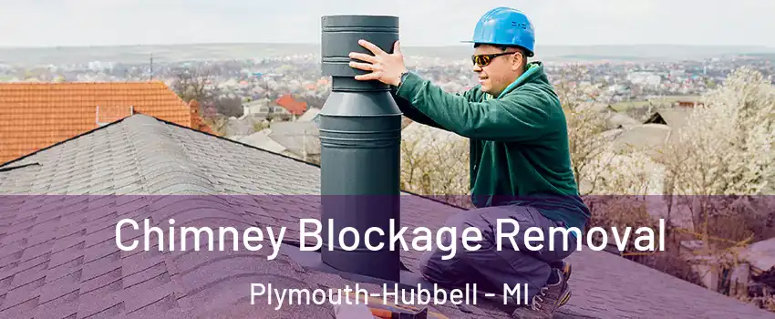 Chimney Blockage Removal Plymouth-Hubbell - MI