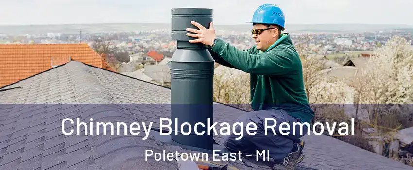 Chimney Blockage Removal Poletown East - MI