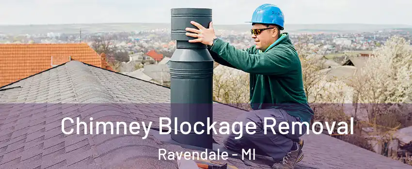 Chimney Blockage Removal Ravendale - MI