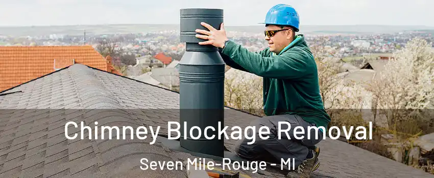 Chimney Blockage Removal Seven Mile-Rouge - MI