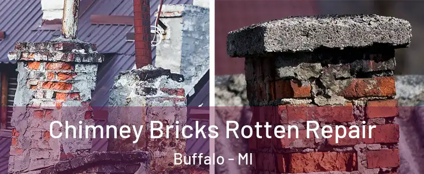 Chimney Bricks Rotten Repair Buffalo - MI