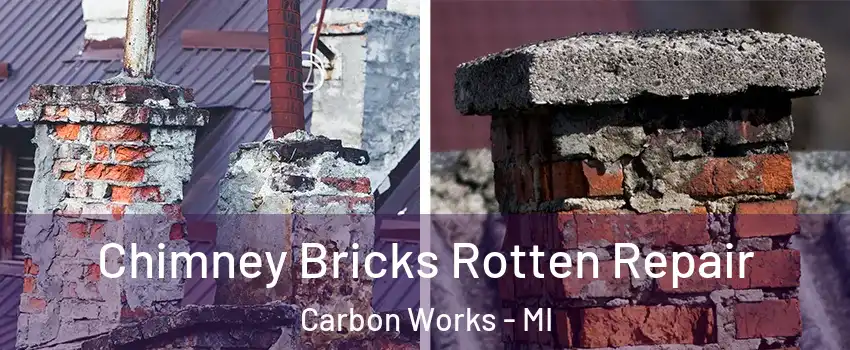 Chimney Bricks Rotten Repair Carbon Works - MI
