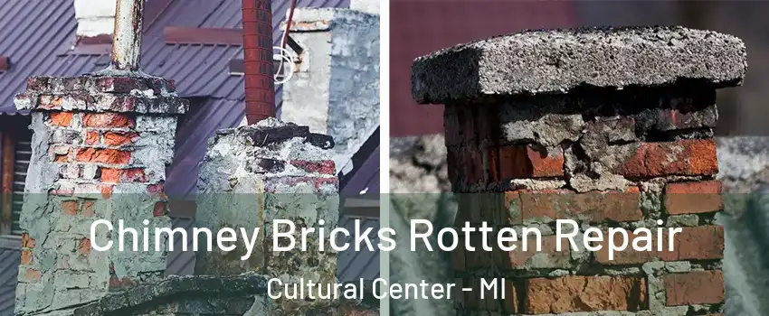 Chimney Bricks Rotten Repair Cultural Center - MI