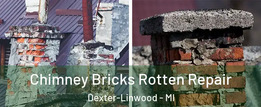 Chimney Bricks Rotten Repair Dexter-Linwood - MI