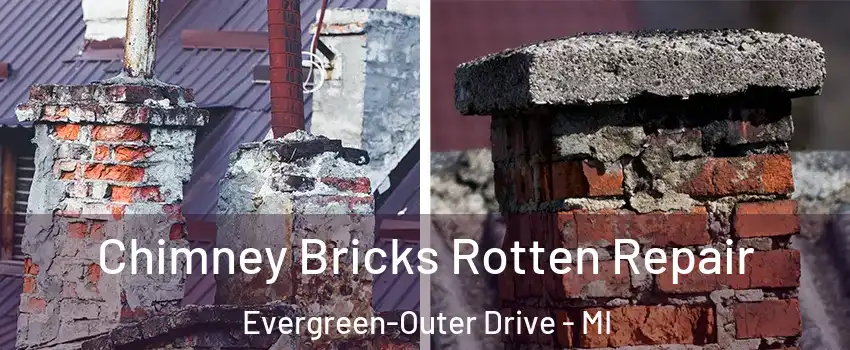 Chimney Bricks Rotten Repair Evergreen-Outer Drive - MI