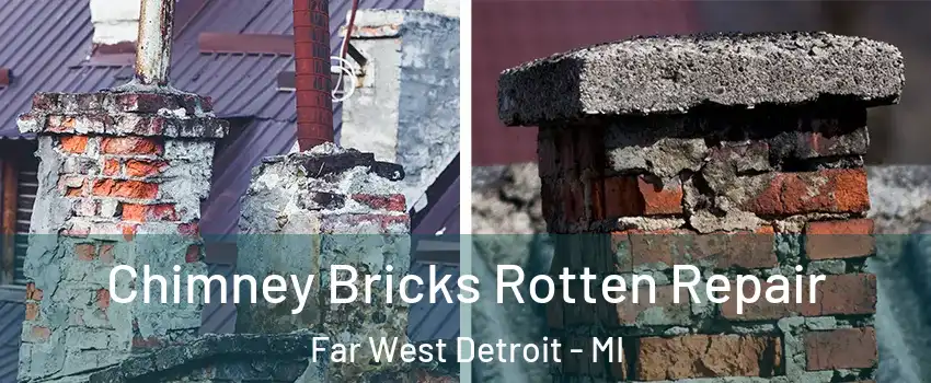 Chimney Bricks Rotten Repair Far West Detroit - MI