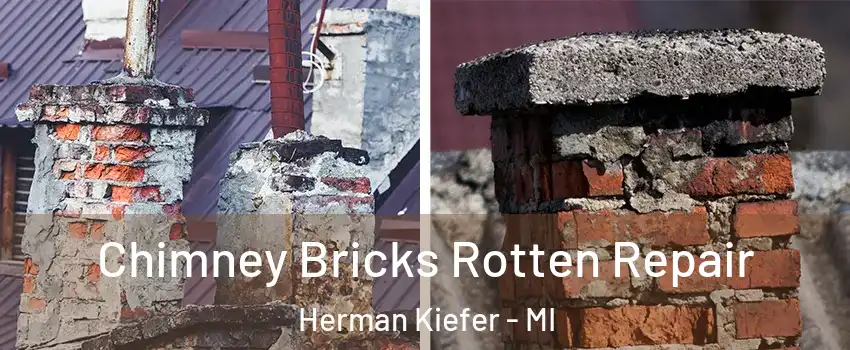 Chimney Bricks Rotten Repair Herman Kiefer - MI