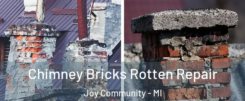 Chimney Bricks Rotten Repair Joy Community - MI