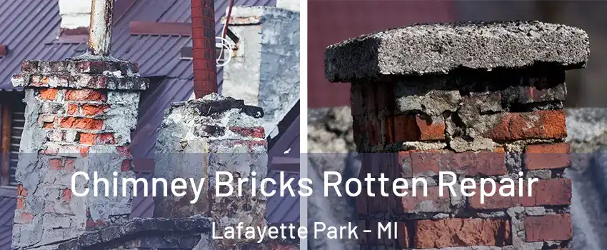 Chimney Bricks Rotten Repair Lafayette Park - MI