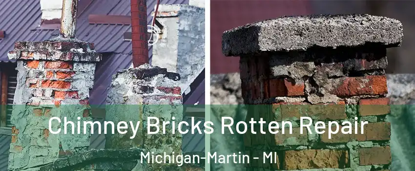 Chimney Bricks Rotten Repair Michigan-Martin - MI