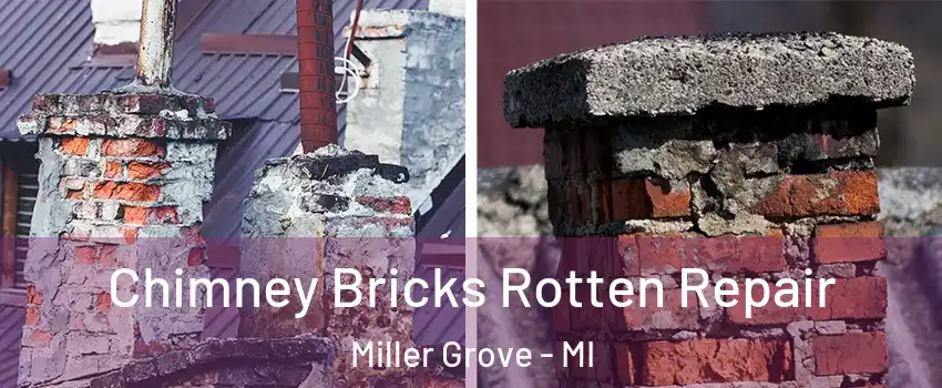 Chimney Bricks Rotten Repair Miller Grove - MI