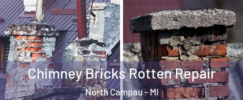 Chimney Bricks Rotten Repair North Campau - MI