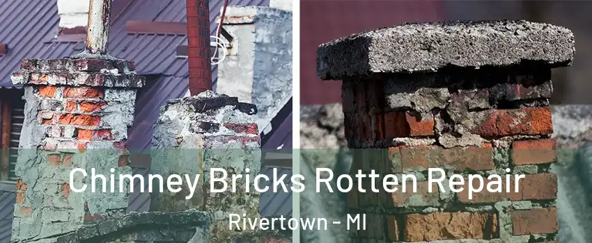 Chimney Bricks Rotten Repair Rivertown - MI