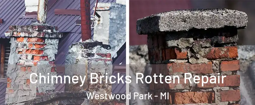 Chimney Bricks Rotten Repair Westwood Park - MI