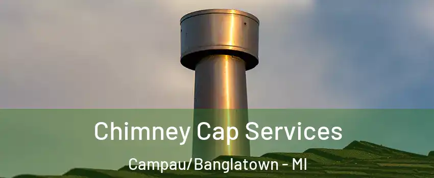 Chimney Cap Services Campau/Banglatown - MI