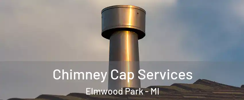 Chimney Cap Services Elmwood Park - MI
