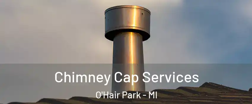 Chimney Cap Services O'Hair Park - MI
