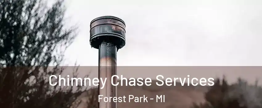 Chimney Chase Services Forest Park - MI