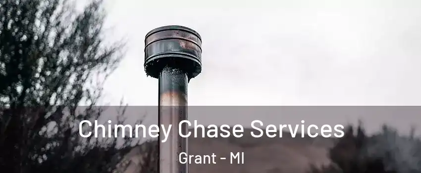Chimney Chase Services Grant - MI
