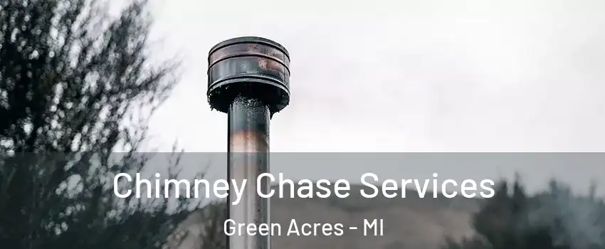 Chimney Chase Services Green Acres - MI