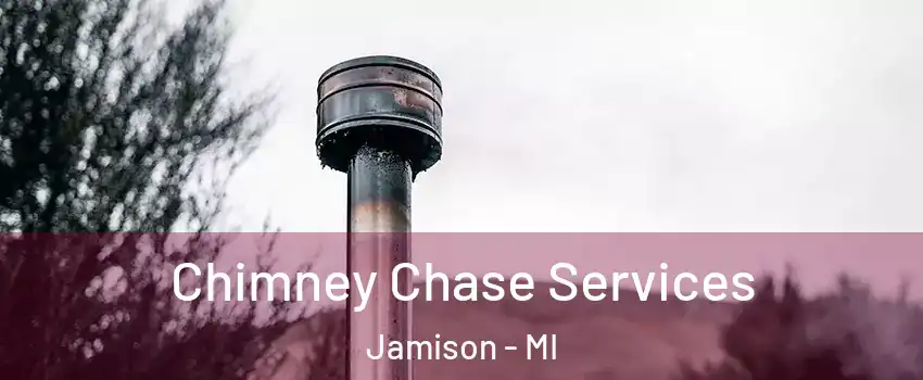 Chimney Chase Services Jamison - MI