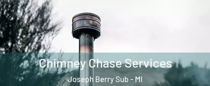 Chimney Chase Services Joseph Berry Sub - MI