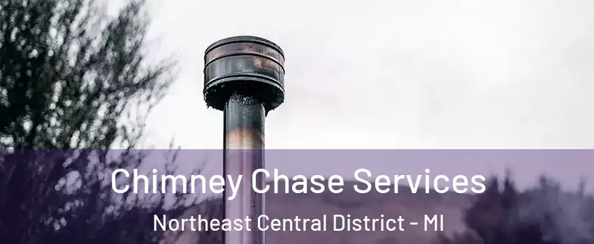 Chimney Chase Services Northeast Central District - MI