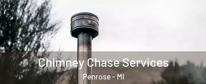 Chimney Chase Services Penrose - MI