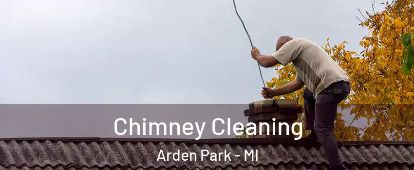 Chimney Cleaning Arden Park - MI