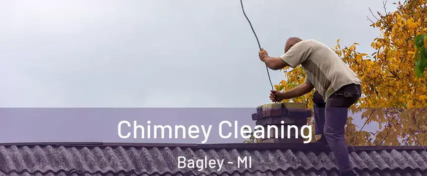 Chimney Cleaning Bagley - MI