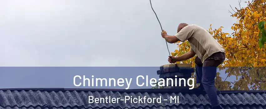 Chimney Cleaning Bentler-Pickford - MI