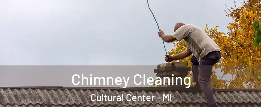 Chimney Cleaning Cultural Center - MI