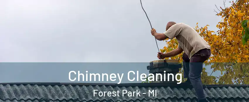 Chimney Cleaning Forest Park - MI