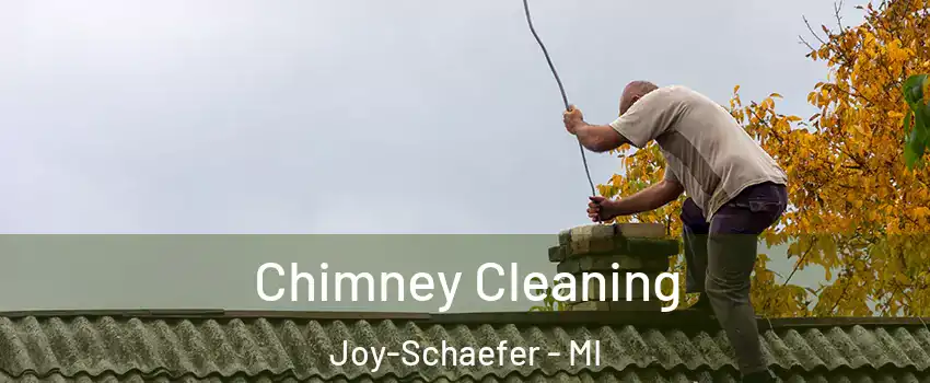 Chimney Cleaning Joy-Schaefer - MI