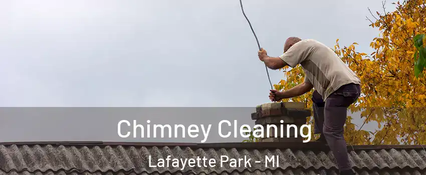Chimney Cleaning Lafayette Park - MI