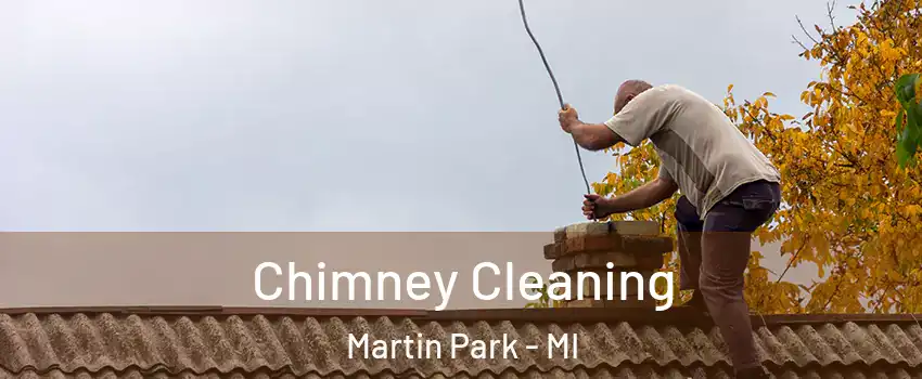 Chimney Cleaning Martin Park - MI