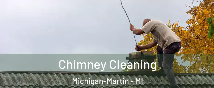 Chimney Cleaning Michigan-Martin - MI