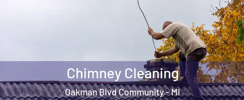 Chimney Cleaning Oakman Blvd Community - MI
