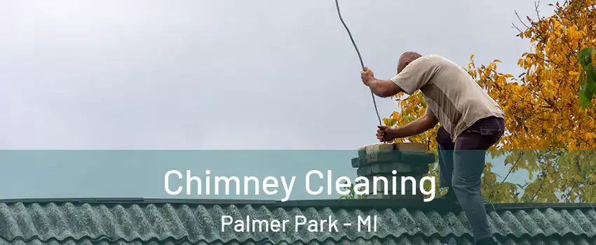 Chimney Cleaning Palmer Park - MI