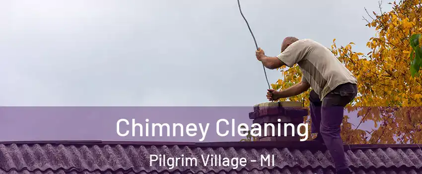 Chimney Cleaning Pilgrim Village - MI