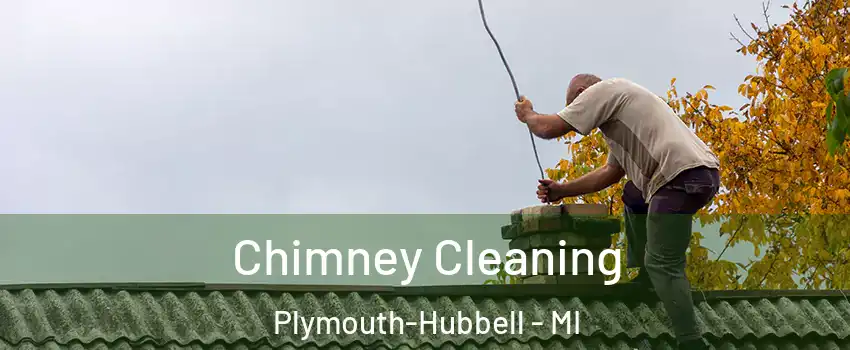 Chimney Cleaning Plymouth-Hubbell - MI