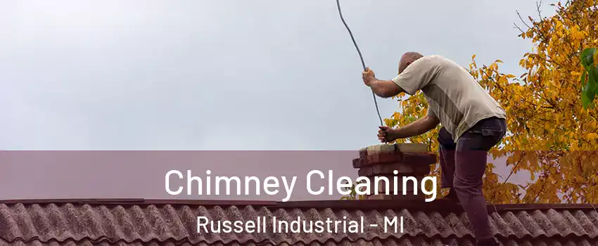 Chimney Cleaning Russell Industrial - MI