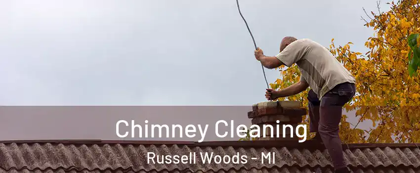Chimney Cleaning Russell Woods - MI