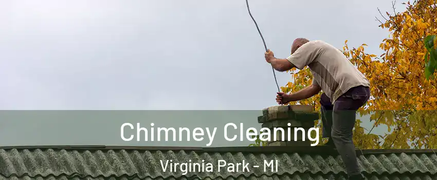 Chimney Cleaning Virginia Park - MI