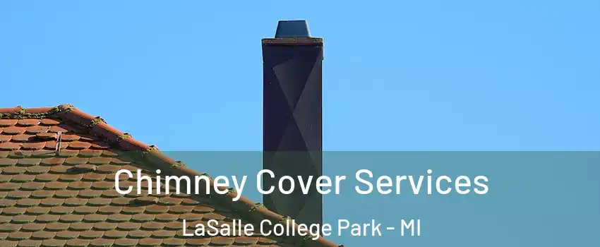 Chimney Cover Services LaSalle College Park - MI