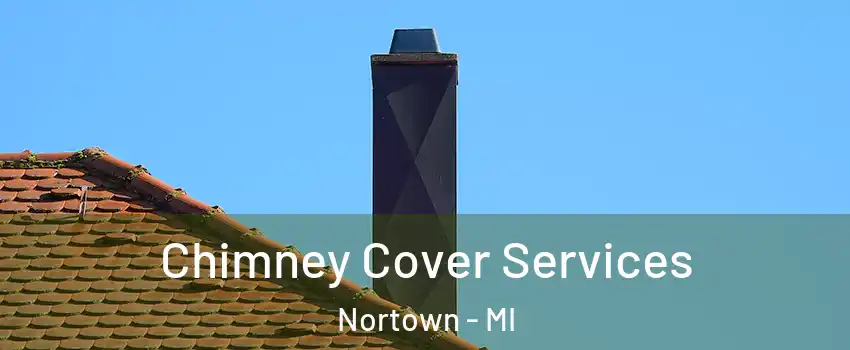 Chimney Cover Services Nortown - MI